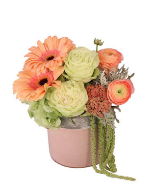 Pink Cherub Floral Design