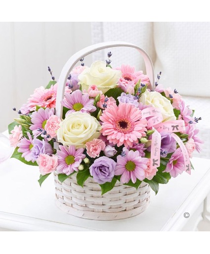 Pink Daisies 