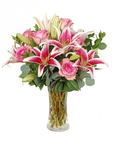 Pink Delight 