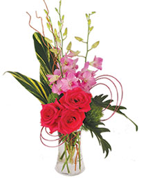 Pink Dendrobium Dream Floral Design
