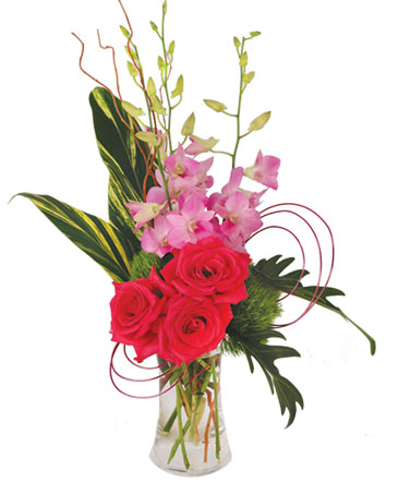Pink Dendrobium Dream Floral Design in Waco, TX | Bloomingals Floral Boutique