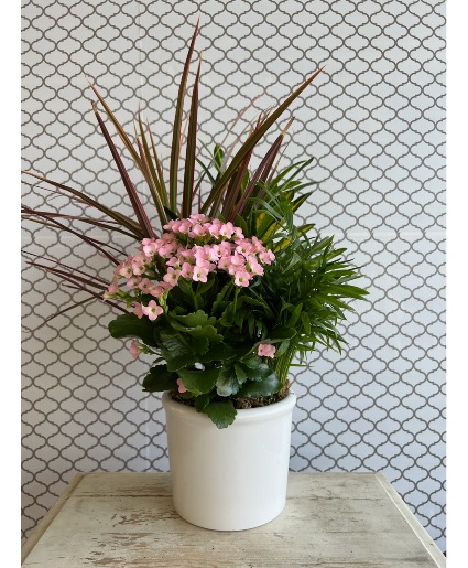 Pink Dish Garden 