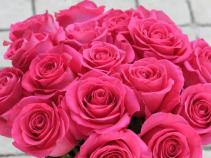 Pink Floyd  Roses