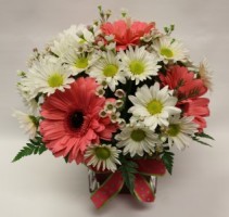 Pink Gerber Cube Arrangement