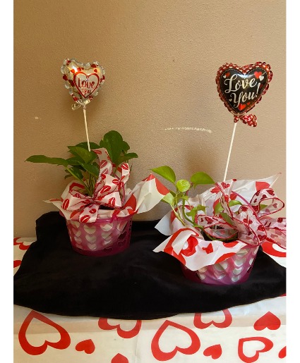 my heart belongs 2 u planter