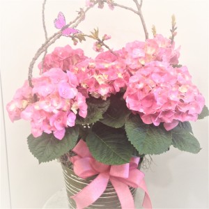 Pink Hydrangea Blooming Plant