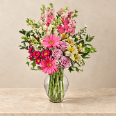 Pink Jubilee 