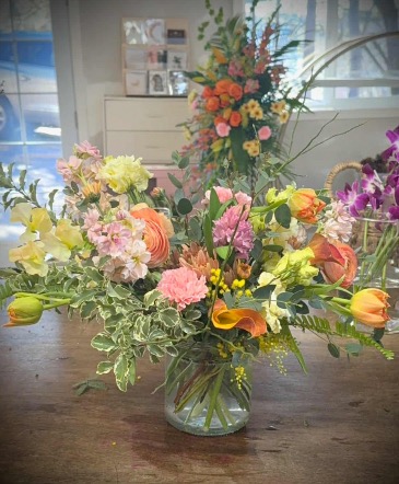 Pink lemonade   in Klamath Falls, OR | Yarrow in Bloom