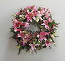 Pink Lily Read  