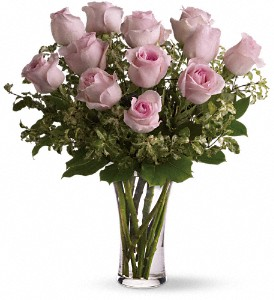 Pink Long Stem Roses Roses Arranged