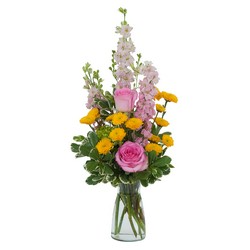 Pink N Pretty   in Presque Isle, ME | COOK FLORIST, INC.
