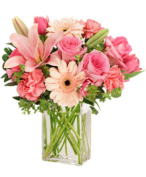 Passion Pink Fresh flowers