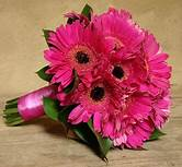 Pink Pinker Pinkest 