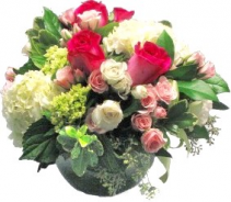 Palm Beach Pink Cut Flowers