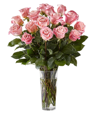Pink Rose Bouquet Various