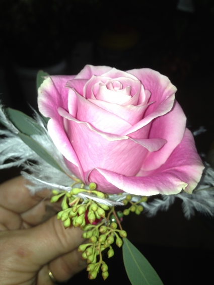 Pink Rose Bout Bout