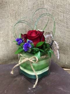 Single Rose Fresh Flowers