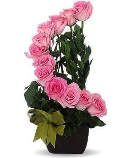 Pink Rose Staircase  rose 