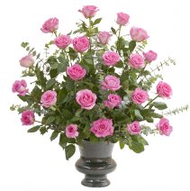 Pink Rose Supreme 