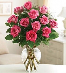 Pink Roses 