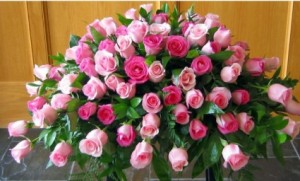 Pink Roses 