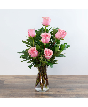 Pink Roses (6) 