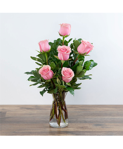 Pink Roses (6) 