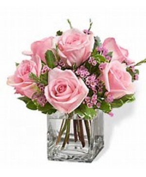 Pink Roses 
