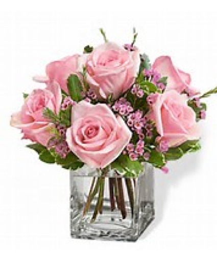 Pink Roses 