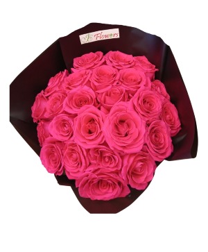 Pink Roses in a Wrap 