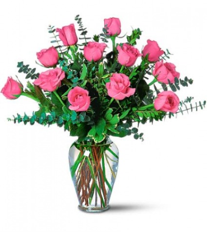 Pink Roses  Roses