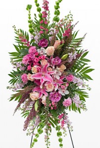 Pink Spray 
