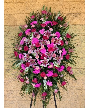 Pink Spray 