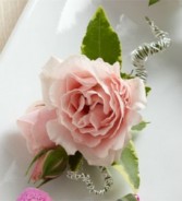 PINK SPRAY ROSE BOUTONNIERE  