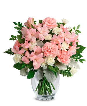Pink Sugar - 00172 