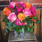 Pink Sunshine Roses 