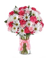 Pink Surprise 