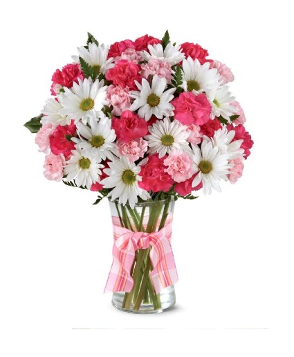 Pink Surprise 