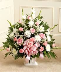 Pink Sympathy 