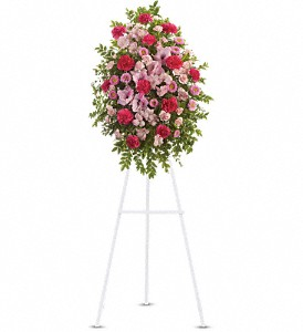Pink Tribute 