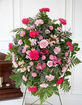 Pink Spray 