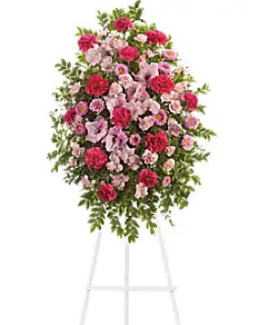 Pink Tribute Spray  
