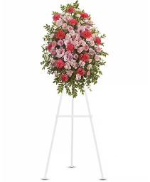 Pink Tribute Spray 