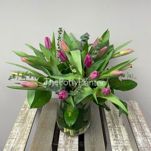 Pink Tulips 