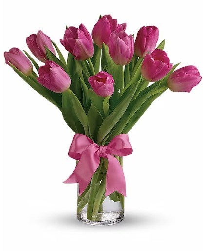 Pink Tulips 