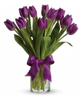 Purple Tulips Arranged  