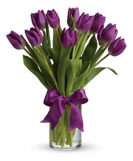 Purple Tulips Arranged  