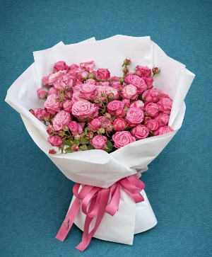 Pink Whisper by Flower Jazz roses