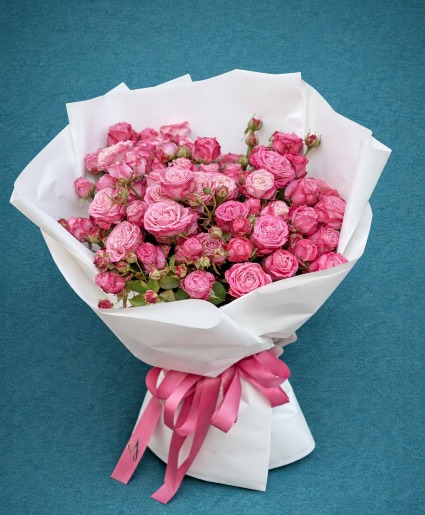 Pink Whisper by Flower Jazz roses