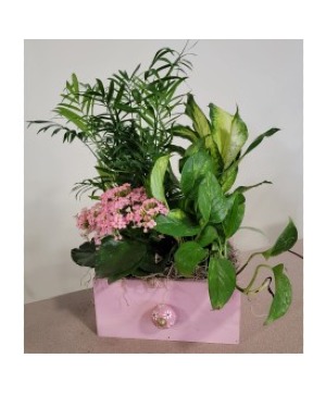PINK WOODEN GARDEN BOX 